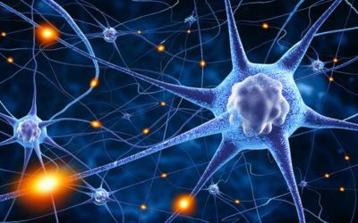 Neuroplasticity