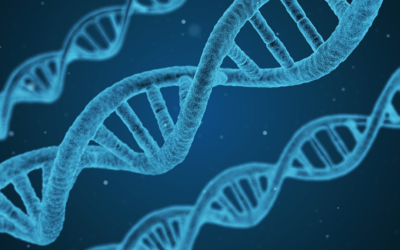 Epigenetics