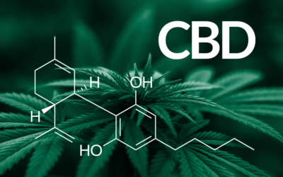 Is All This Buzz About CBD Legit? A Post in Honor of 4/20 Day