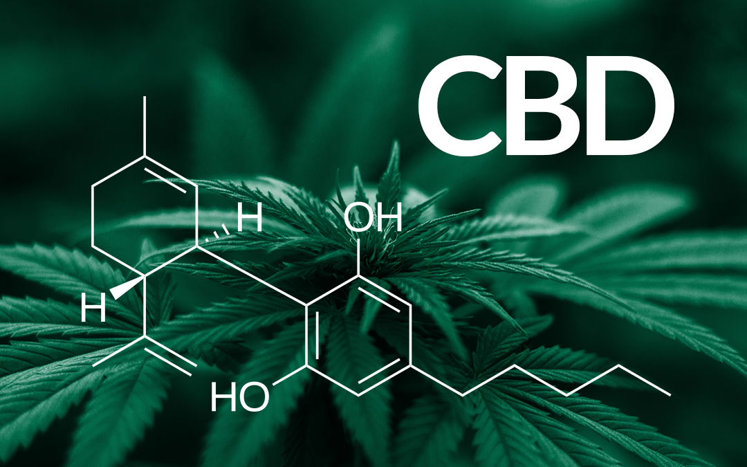 CBD, Marijuana photo with molecule code over the image