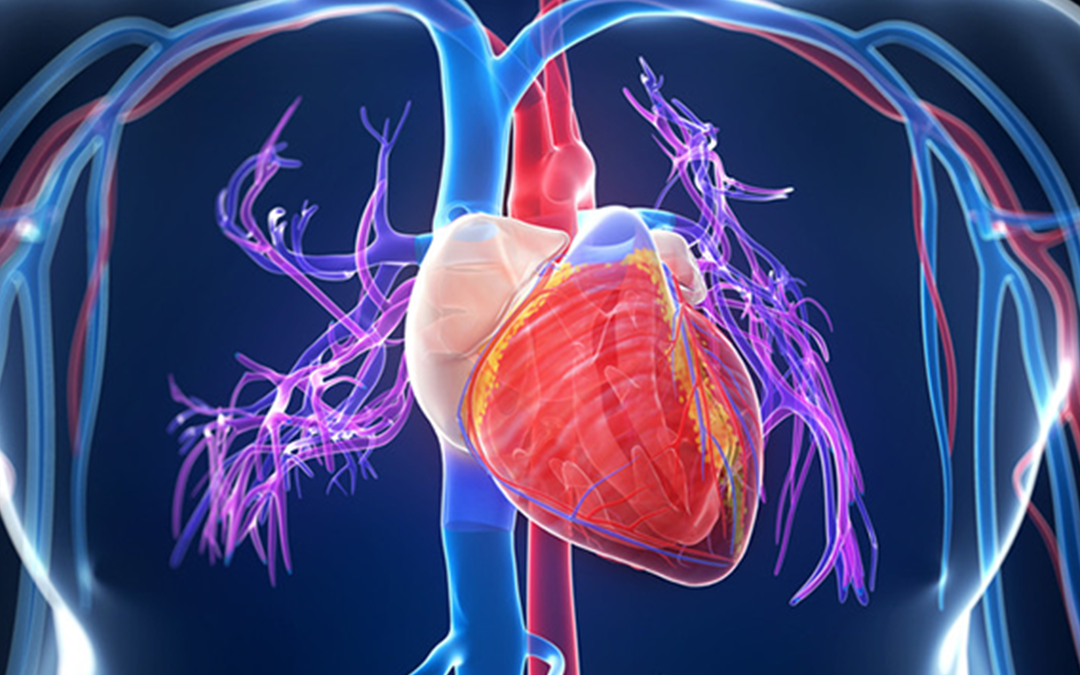 Heart Health Supplements, Heart health, image of a heart graphic