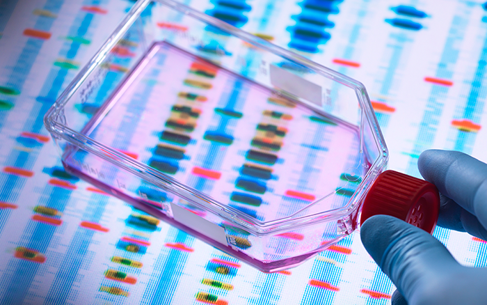 Personalized Performance Medicine, image of a DNA genetic testing report
